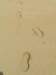 newzealandstewartisland83_small.jpg