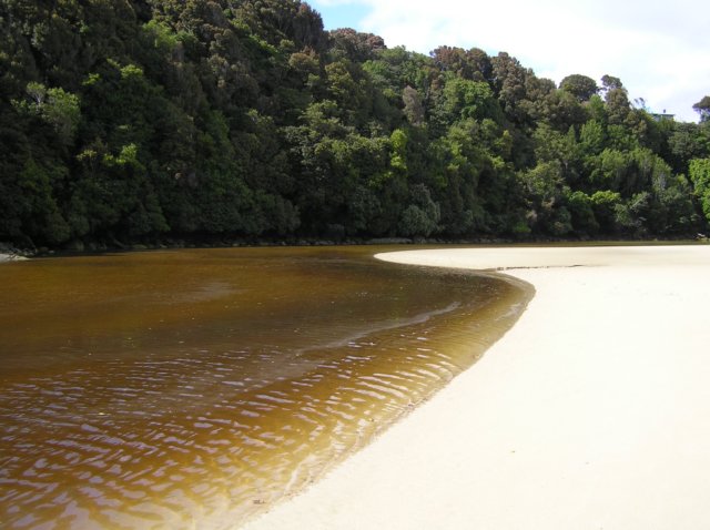 newzealandstewartisland85.jpg