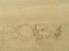 newzealandstewartisland86_small.jpg