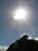 newzealandstewartisland87_small.jpg