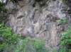 newzealandstewartisland89_small.jpg