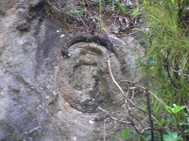 newzealandstewartisland90.jpg