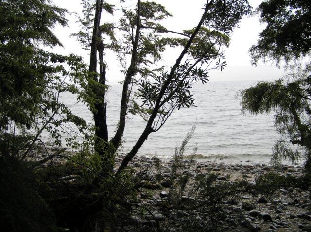 newzealandteanauglowwormscaves10.jpg