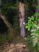newzealandteanauglowwormscaves12_small.jpg