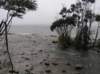 newzealandteanauglowwormscaves15_small.jpg