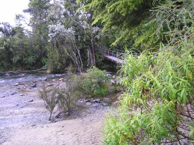 newzealandteanauglowwormscaves3.jpg