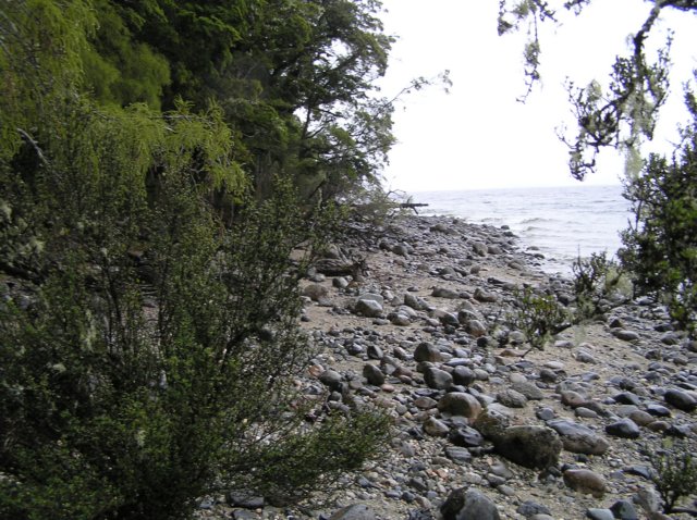 newzealandteanauglowwormscaves8.jpg