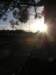 newzealandteanausunrise3_small.jpg