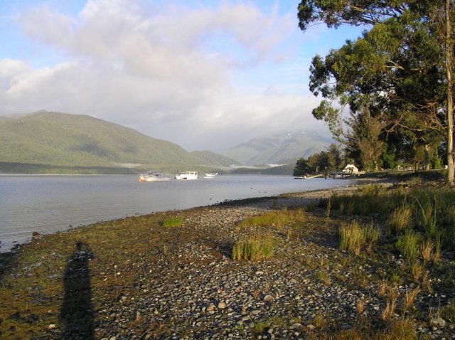 newzealandteanausunrise5.jpg