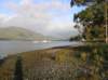 newzealandteanausunrise5_small.jpg