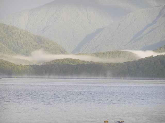 newzealandteanausunrise6.jpg