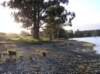 newzealandteanausunrise7_small.jpg