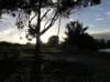 newzealandteanausunrise8_small.jpg