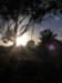 newzealandteanausunrise9_small.jpg