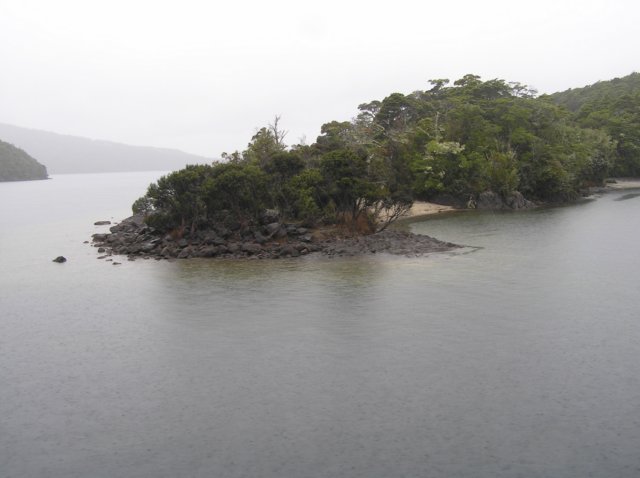 newzealandteanautoglowwormscaves7.jpg