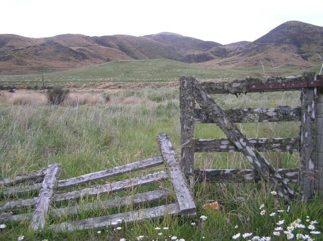 newzealandteanautoinvercargil3.jpg