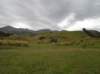 newzealandteanautoinvercargil5_small.jpg