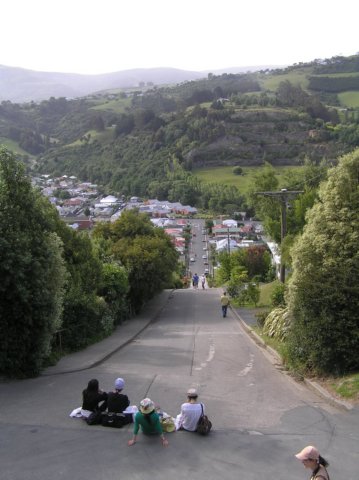 newzealanddunedinbaldwinstreet5.jpg