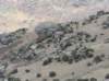 newzealanddunedintoqueenstown22_small.jpg