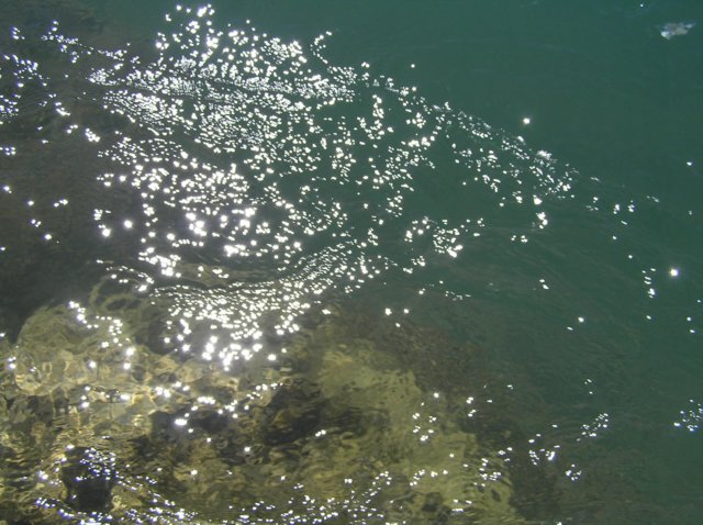 newzealanddunedintoqueenstown6.jpg