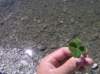 newzealanddunedintoqueenstown9_small.jpg