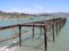 newzealandmoeraki2_small.jpg