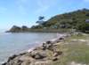 newzealandmoeraki3_small.jpg