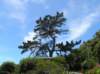 newzealandmoeraki6_small.jpg