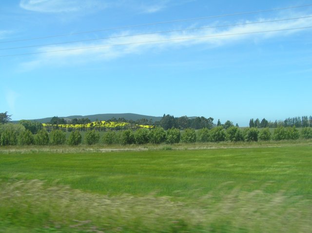 newzealandmoerakitodunedin.jpg