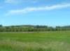 newzealandmoerakitodunedin_small.jpg