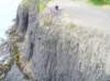 newzealandotagopenisula12_small.jpg