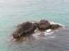 newzealandotagopenisula13_small.jpg