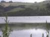 newzealandotagopenisula23_small.jpg