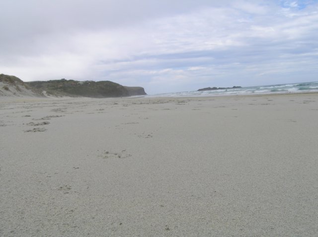 newzealandotagopenisula25.jpg