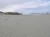 newzealandotagopenisula25_small.jpg