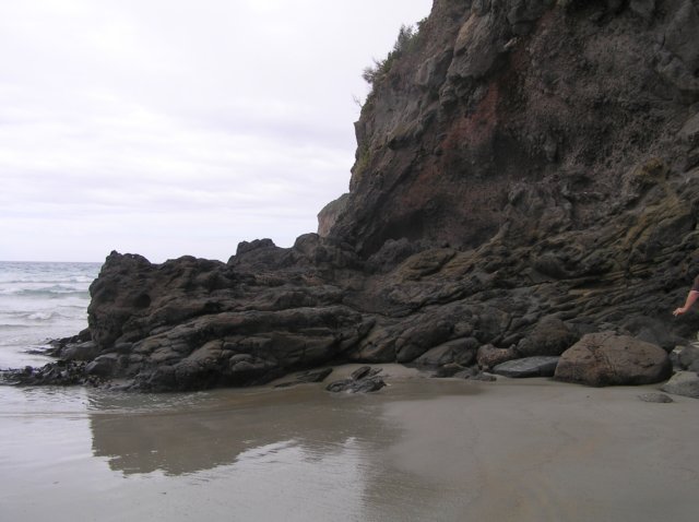 newzealandotagopenisula29.jpg