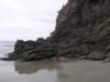 newzealandotagopenisula29_small.jpg