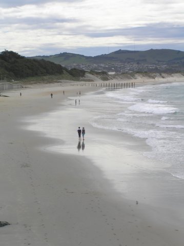 newzealandotagopenisula3.jpg