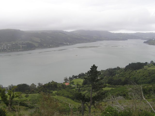 newzealandotagopenisula35.jpg