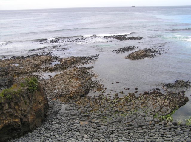 newzealandotagopenisula5.jpg