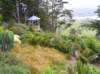 newzealandotagopenisulalarnachcastle11_small.jpg