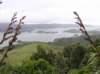 newzealandotagopenisulalarnachcastle15_small.jpg