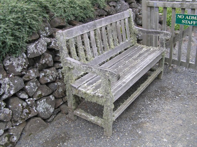 newzealandotagopenisulalarnachcastle17.jpg