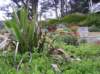 newzealandotagopenisulalarnachcastle18_small.jpg