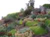 newzealandotagopenisulalarnachcastle20_small.jpg