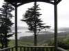 newzealandotagopenisulalarnachcastle21_small.jpg
