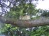 newzealandotagopenisulalarnachcastle24_small.jpg