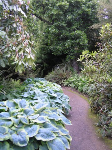 newzealandotagopenisulalarnachcastle31.jpg