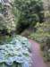 newzealandotagopenisulalarnachcastle31_small.jpg