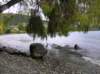 newzealandqueenstown37_small.jpg